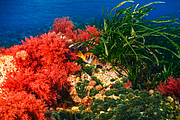 agay_2009-05-08_17-07-25.png