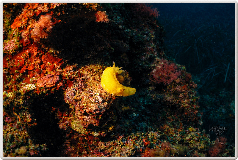 agay_2009-05-08_17-15-26.png