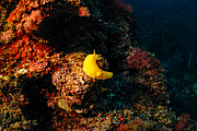 agay_2009-05-08_17-15-26.png