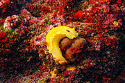 agay_2009-05-08_17-15-41.png