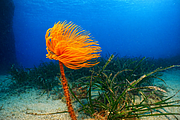 agay_2009-05-09_10-57-24.png