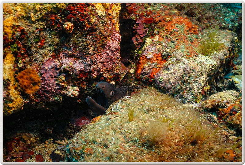 agay_2009-05-09_11-05-32