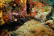 agay_2009-05-09_11-05-32.png