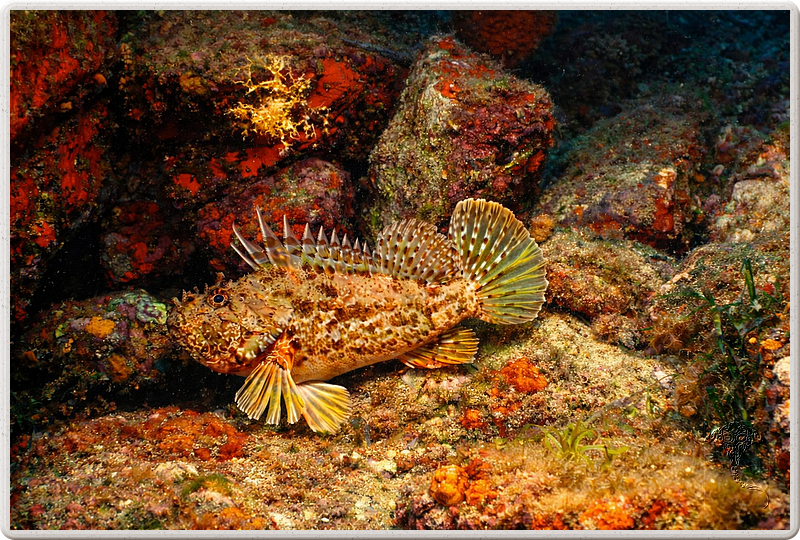 agay_2009-05-09_11-10-00