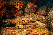 agay_2009-05-09_11-10-00.png
