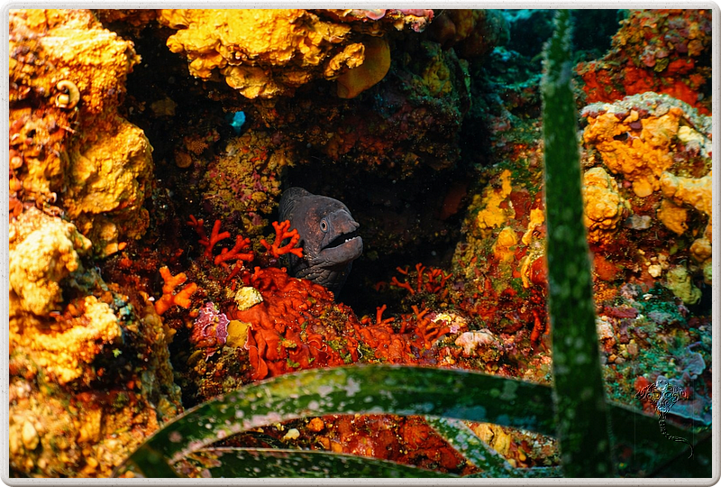 agay_2009-05-09_11-19-36