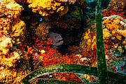 agay_2009-05-09_11-19-36.png