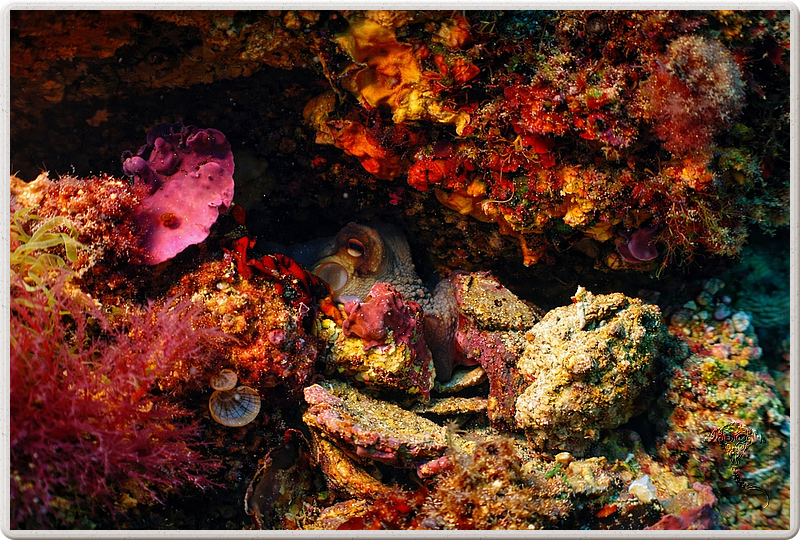 agay_2009-05-09_11-23-10