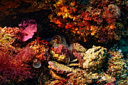 agay_2009-05-09_11-23-10.png