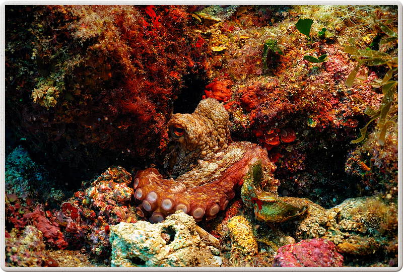 agay_2009-05-09_11-24-18