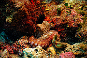 agay_2009-05-09_11-24-18.png
