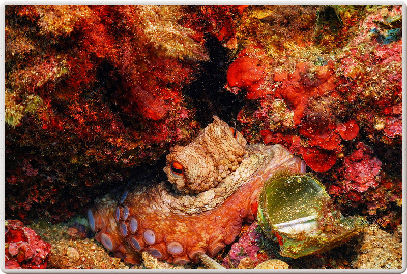agay_2009-05-09_11-25-19