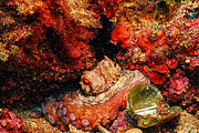 agay_2009-05-09_11-25-19.png