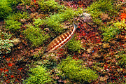 agay_2009-05-09_11-34-26.png