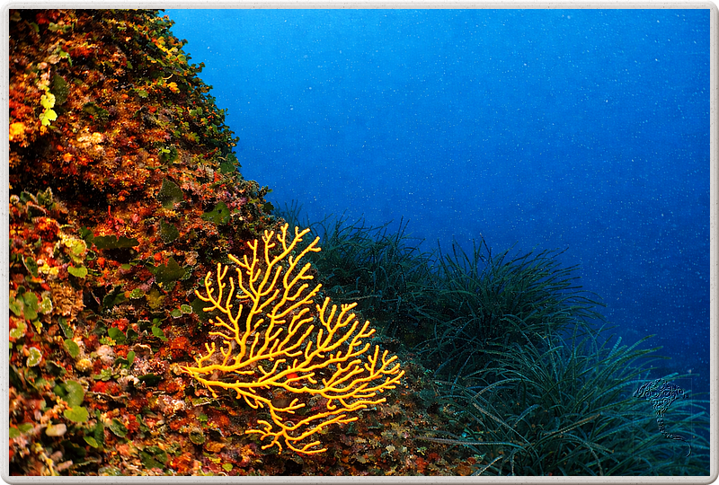 agay_2009-05-09_16-41-11