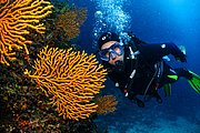 agay_2009-05-09_16-50-37.png