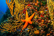 agay_2009-05-09_16-51-12.png