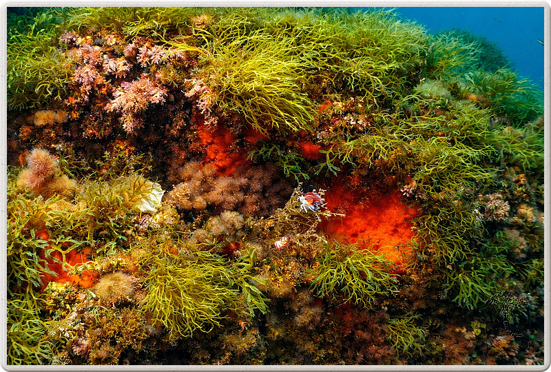agay_2009-05-09_17-04-21