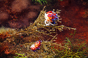 agay_2009-05-09_17-04-22.png