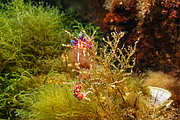 agay_2009-05-09_17-05-13.png
