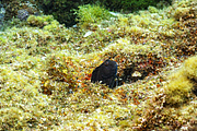 agay_2009-05-09_17-10-35.png