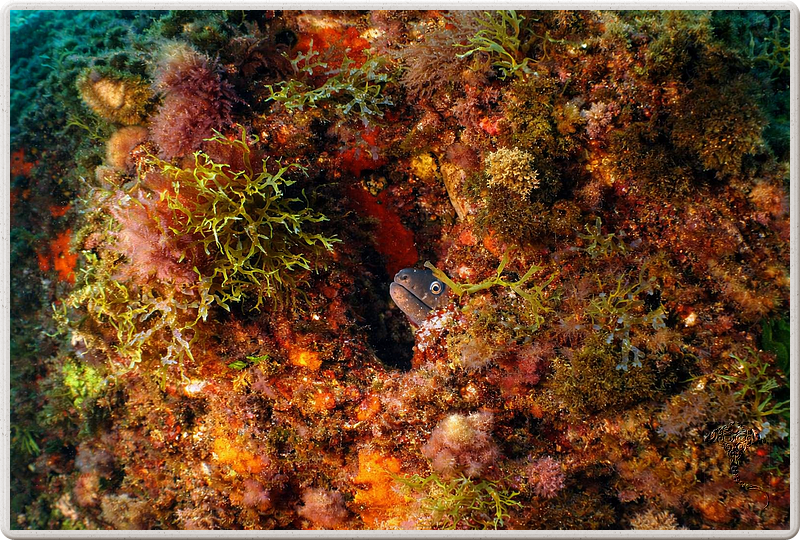 agay_2009-05-10_11-16-07