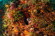 agay_2009-05-10_11-16-07.png